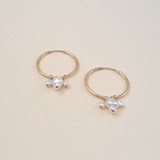 Angelina Hoops