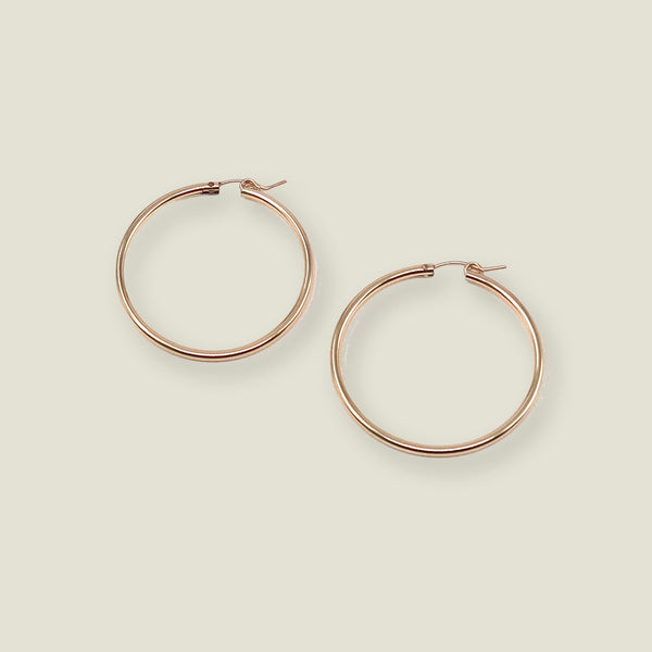 Ashley Hoops